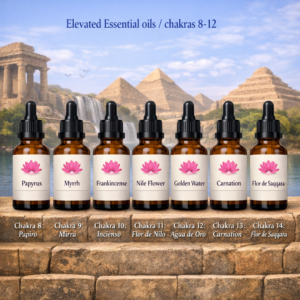 Elevated Essential oils / chakras 8-12